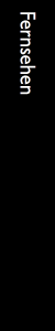 Fernsehen